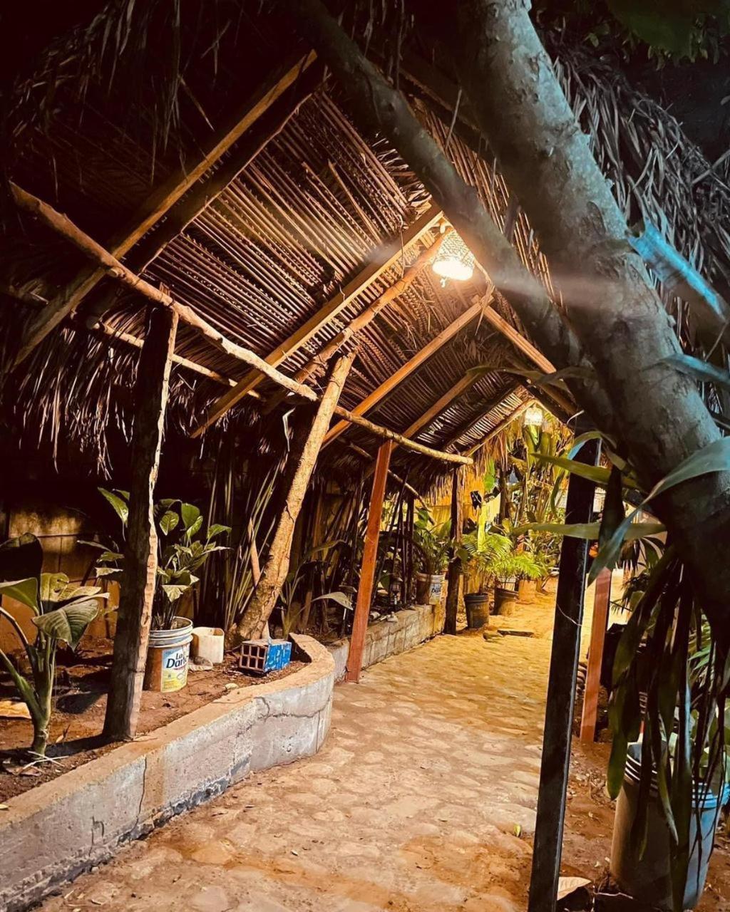 Hospedaje Ecologico Purma Wasi 塔拉波托 外观 照片
