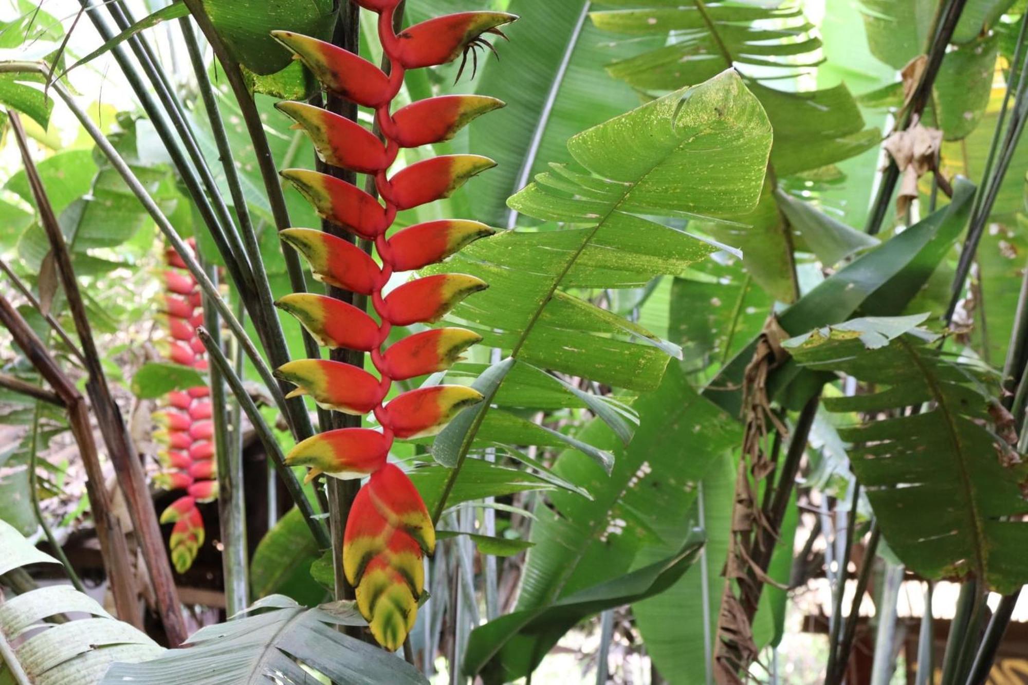 Hospedaje Ecologico Purma Wasi 塔拉波托 外观 照片