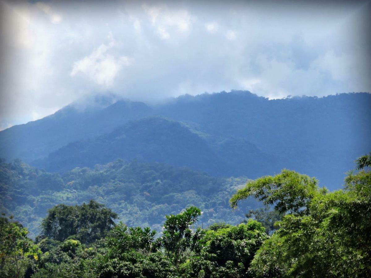 Hospedaje Ecologico Purma Wasi 塔拉波托 外观 照片